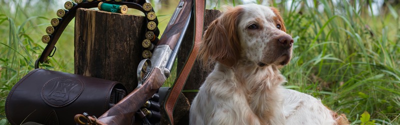 Intégrer son domaine de chasse dans son crédit immobilier