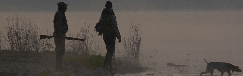 La chasse &agrave; la hutte, une tradition fran&ccedil;aise des zones humides